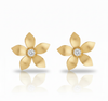 Elora Studs