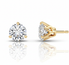 Celestia Studs