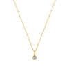 Circle of Life Gold plated sterling silver necklace